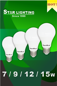 LED Bulb