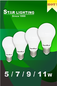 LED Bulb