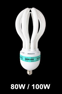 80W 100W lotus energy saving lamp